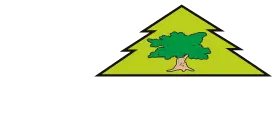 FOSZTT